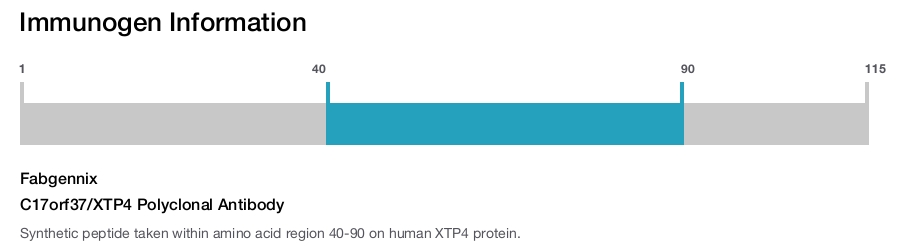 C17orf37/XTP4 Polyclonal Antibody