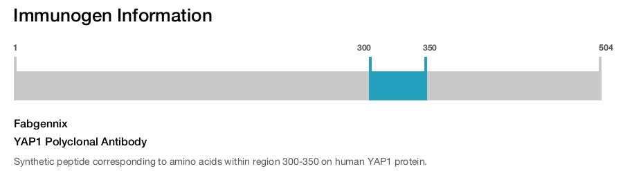 YAP1 Polyclonal Antibody