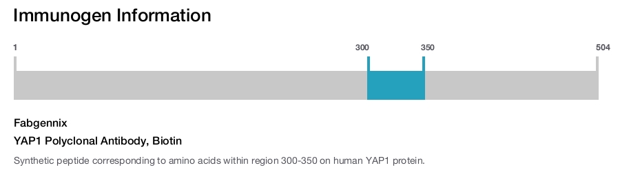 YAP1 Polyclonal Antibody, Biotin
