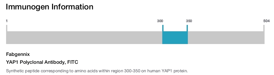 YAP1 Polyclonal Antibody, FITC