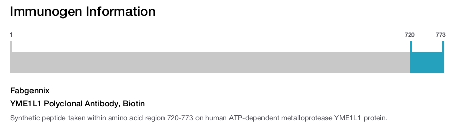 YME1L1 Polyclonal Antibody, Biotin