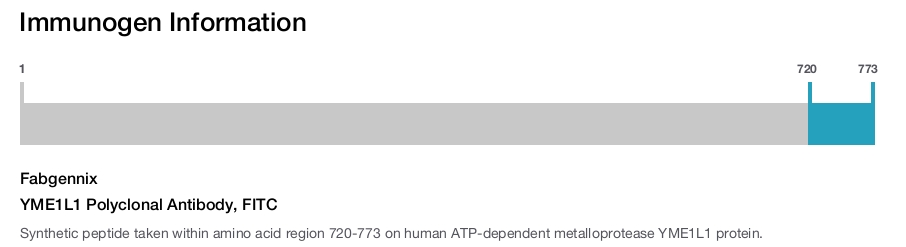 YME1L1 Polyclonal Antibody, FITC