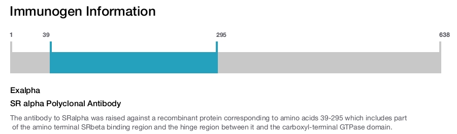 SR alpha Polyclonal Antibody