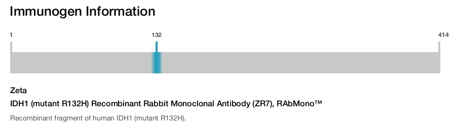 IDH1 (mutant R132H) Recombinant Rabbit Monoclonal Antibody (ZR7), RAbMono&trade;