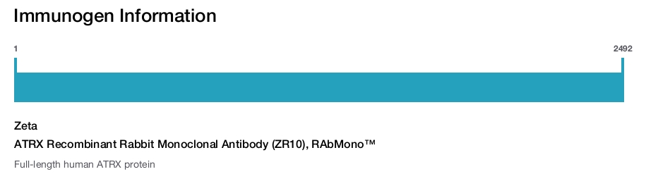 ATRX Recombinant Rabbit Monoclonal Antibody (ZR10), RAbMono&trade;