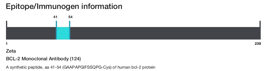 BCL-2 Monoclonal Antibody (124)