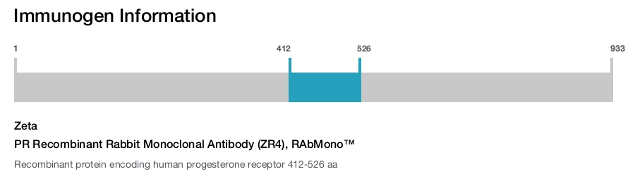 PR Recombinant Rabbit Monoclonal Antibody (ZR4), RAbMono&trade;