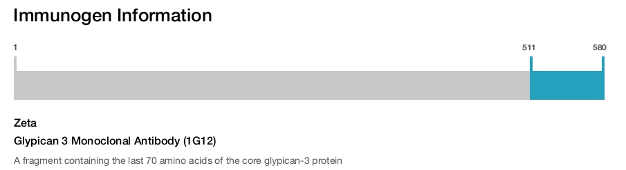 Glypican 3 Monoclonal Antibody (1G12)