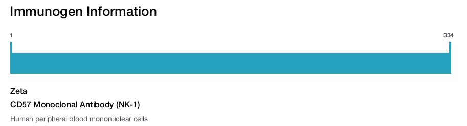 CD57 Monoclonal Antibody (NK-1)