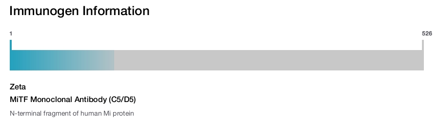 MiTF Monoclonal Antibody (C5/D5)