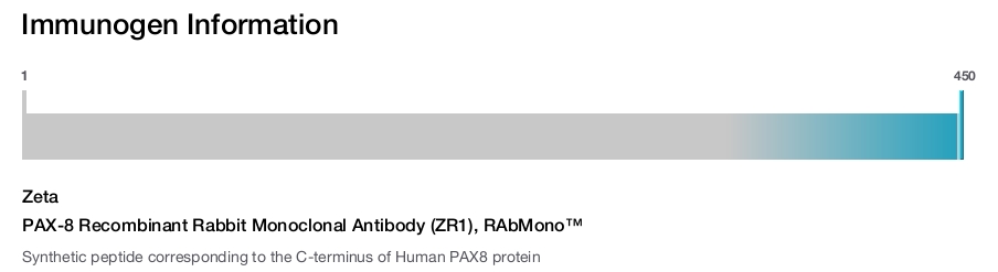 PAX-8 Recombinant Rabbit Monoclonal Antibody (ZR1), RAbMono&trade;
