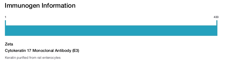 Cytokeratin 17 Monoclonal Antibody (E3)