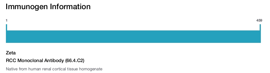 RCC Monoclonal Antibody (66.4.C2)