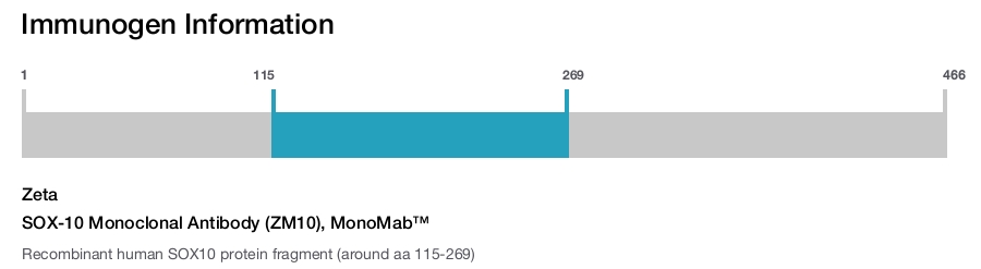 SOX-10 Monoclonal Antibody (ZM10), MonoMab&trade;
