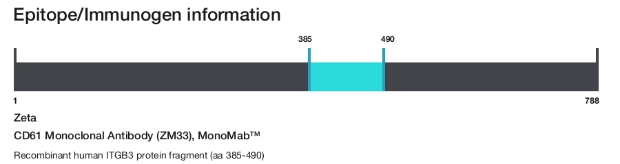 CD61 Monoclonal Antibody (ZM33), MonoMab&trade;