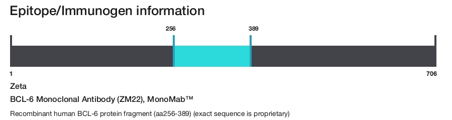 BCL-6 Monoclonal Antibody (ZM22), MonoMab&trade;