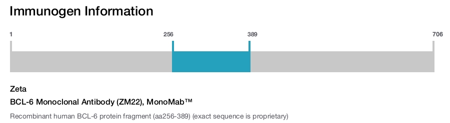 BCL-6 Monoclonal Antibody (ZM22), MonoMab&trade;