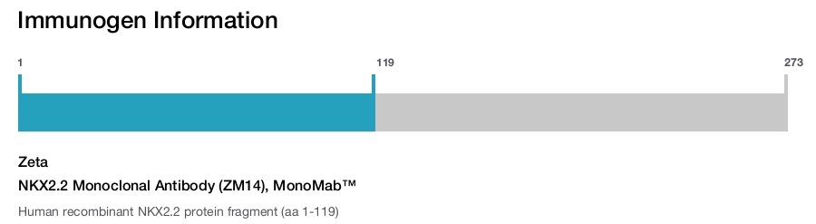 NKX2.2 Monoclonal Antibody (ZM14), MonoMab&trade;