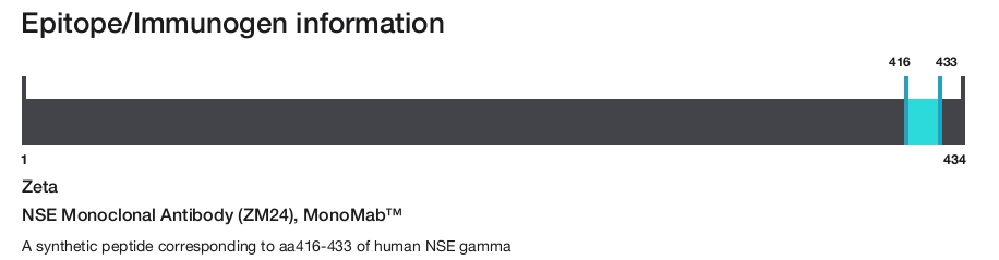 NSE Monoclonal Antibody (ZM24), MonoMab&trade;