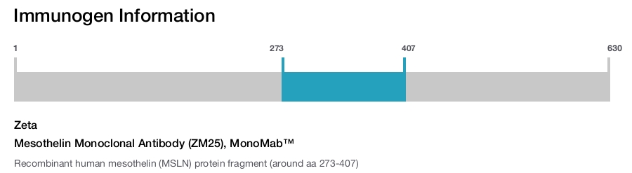 Mesothelin Monoclonal Antibody (ZM25), MonoMab&trade;