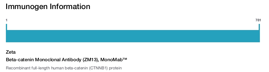 Beta-catenin Monoclonal Antibody (ZM13), MonoMab&trade;