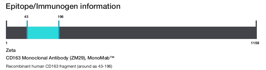 CD163 Monoclonal Antibody (ZM29), MonoMab&trade;