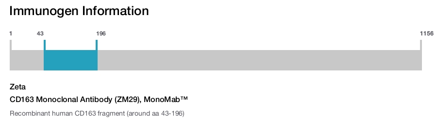 CD163 Monoclonal Antibody (ZM29), MonoMab&trade;