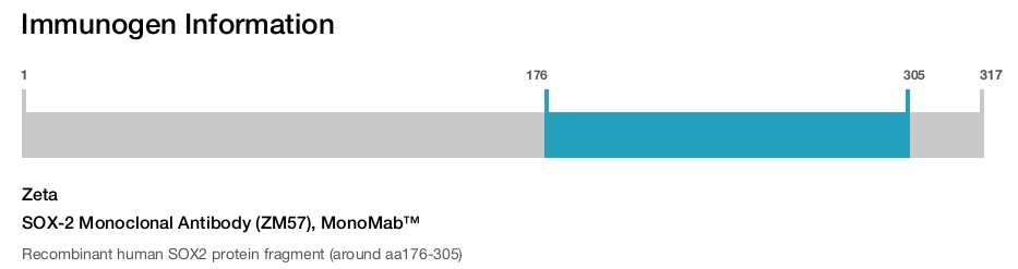 SOX-2 Monoclonal Antibody (ZM57), MonoMab&trade;