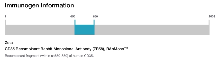 CD35 Recombinant Rabbit Monoclonal Antibody (ZR58), RAbMono&trade;