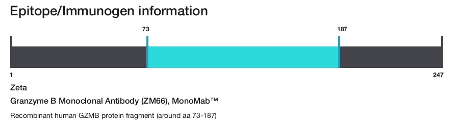 Granzyme B Monoclonal Antibody (ZM66), MonoMab&trade;