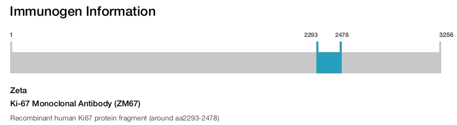 Ki-67 Monoclonal Antibody (ZM67)