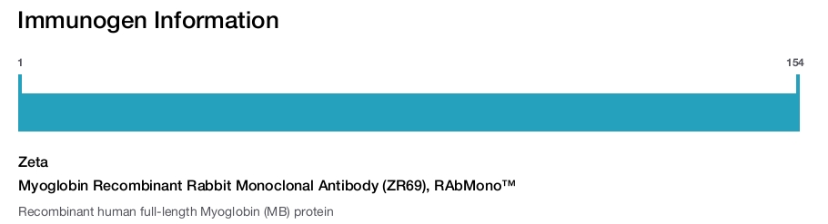 Myoglobin Recombinant Rabbit Monoclonal Antibody (ZR69), RAbMono&trade;