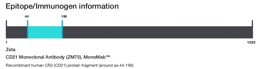 CD21 Monoclonal Antibody (ZM75), MonoMab&trade;