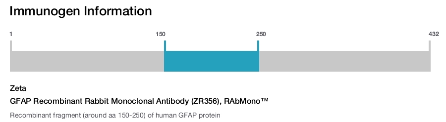 GFAP Recombinant Rabbit Monoclonal Antibody (ZR356), RAbMono&trade;