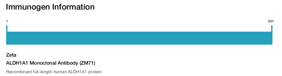 ALDH1A1 Monoclonal Antibody (ZM71)