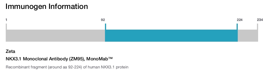 NKX3.1 Monoclonal Antibody (ZM95), MonoMab™