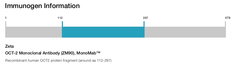 OCT-2 Monoclonal Antibody (ZM90), MonoMab&trade;