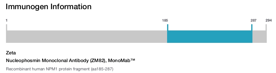 Nucleophosmin Monoclonal Antibody (ZM82), MonoMab&trade;