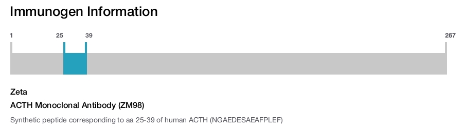 ACTH Monoclonal Antibody (ZM98)