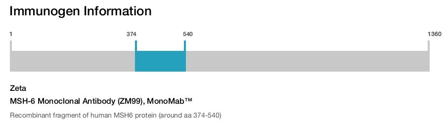 MSH-6 Monoclonal Antibody (ZM99), MonoMab&trade;