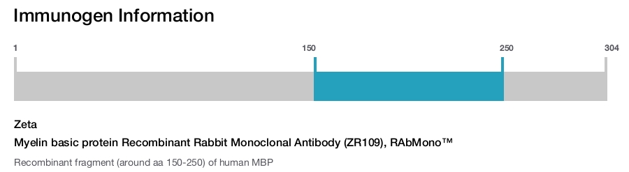 Myelin basic protein Recombinant Rabbit Monoclonal Antibody (ZR109), RAbMono&trade;
