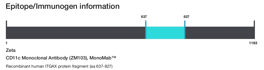 CD11c Monoclonal Antibody (ZM103), MonoMab&trade;