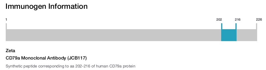 CD79a Monoclonal Antibody (JCB117)