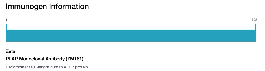 PLAP Monoclonal Antibody (ZM161)