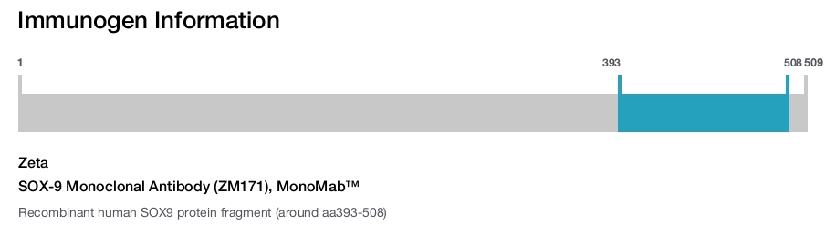 SOX-9 Monoclonal Antibody (ZM171), MonoMab&trade;