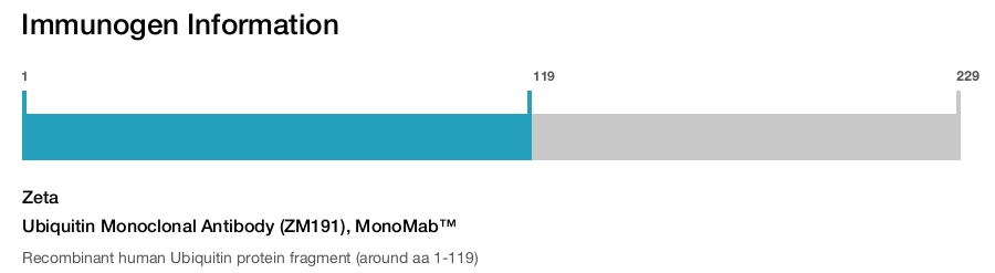 Ubiquitin Monoclonal Antibody (ZM191), MonoMab&trade;