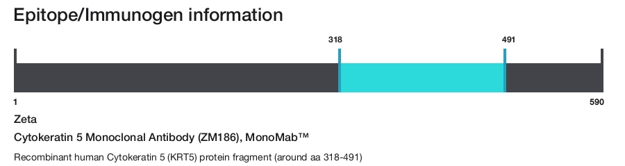 Cytokeratin 5 Monoclonal Antibody (ZM186), MonoMab&trade;
