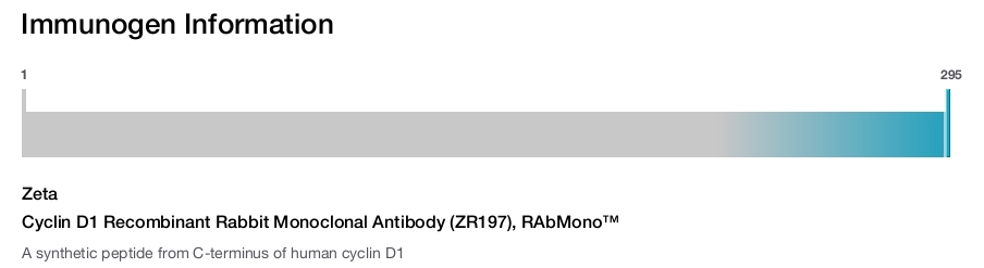 Cyclin D1 Recombinant Rabbit Monoclonal Antibody (ZR197), RAbMono&trade;