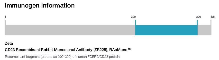 CD23 Recombinant Rabbit Monoclonal Antibody (ZR225), RAbMono&trade;