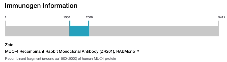 MUC-4 Recombinant Rabbit Monoclonal Antibody (ZR201), RAbMono&trade;